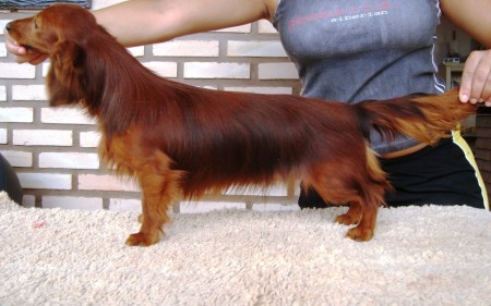 Oskar