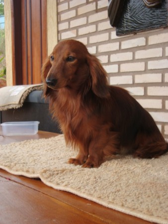 Oskar